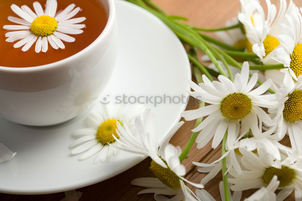 Similar – Image, Stock Photo cup of coffee on a saucer