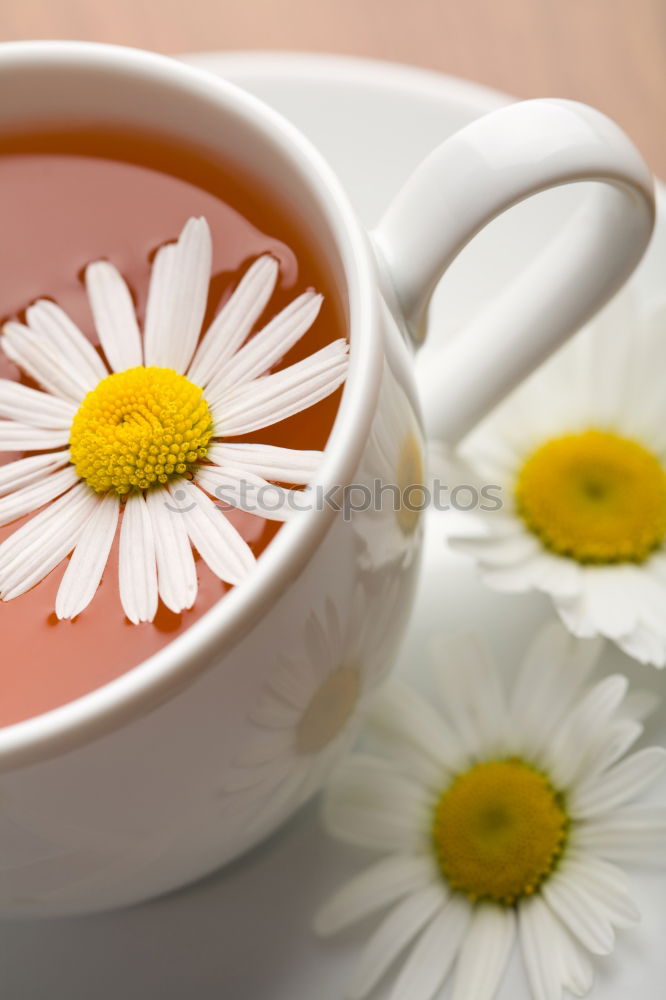 Similar – Image, Stock Photo Milky Coffee Harmonious