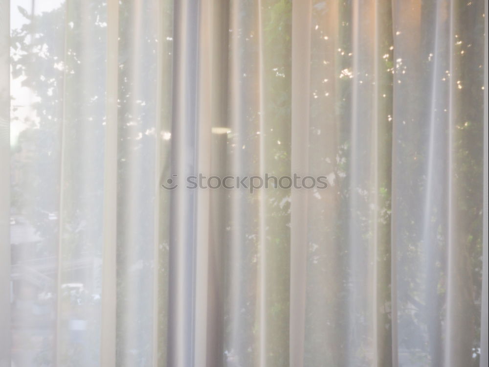 Similar – Image, Stock Photo Space. Wallpaper with forest motif, in the mirror is reflected a red and white chequered curtain and a neon tube. Lost taste, in need of renovation.