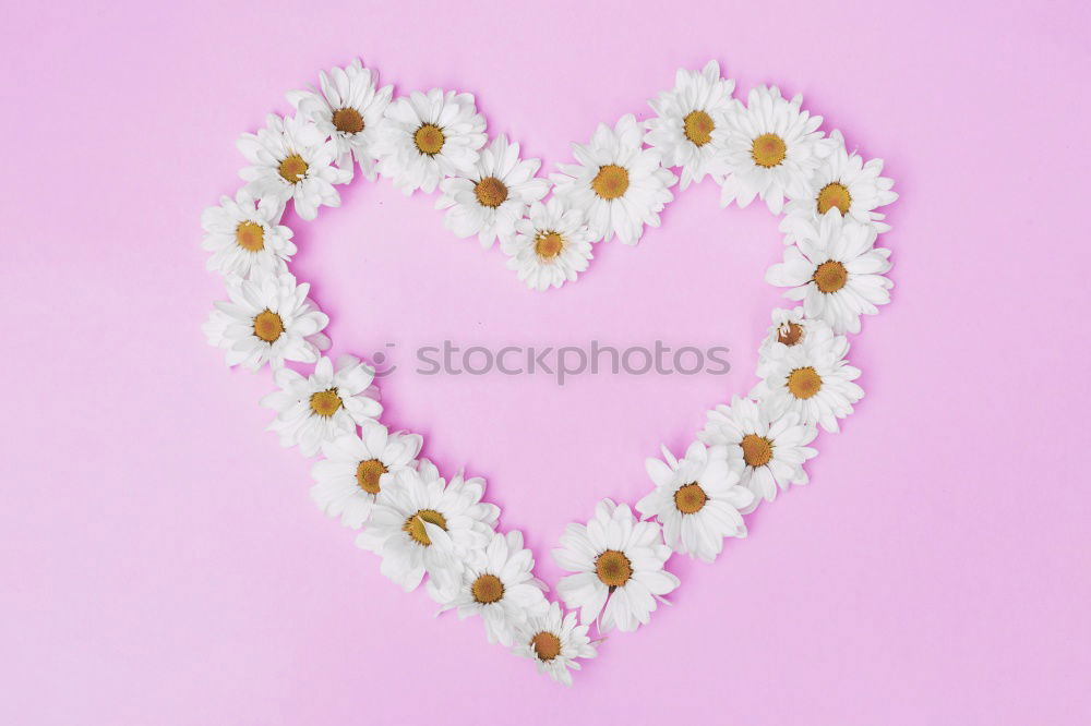 Similar – Image, Stock Photo Not sweet cute Pink Hearty