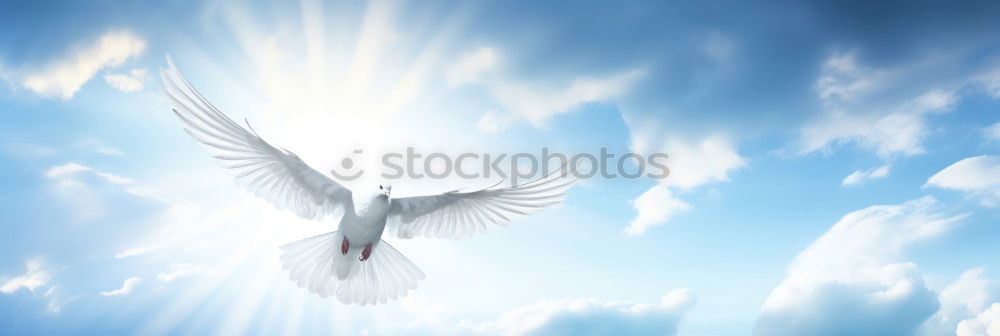 Similar – Image, Stock Photo heavenly Schwerin Heavenly