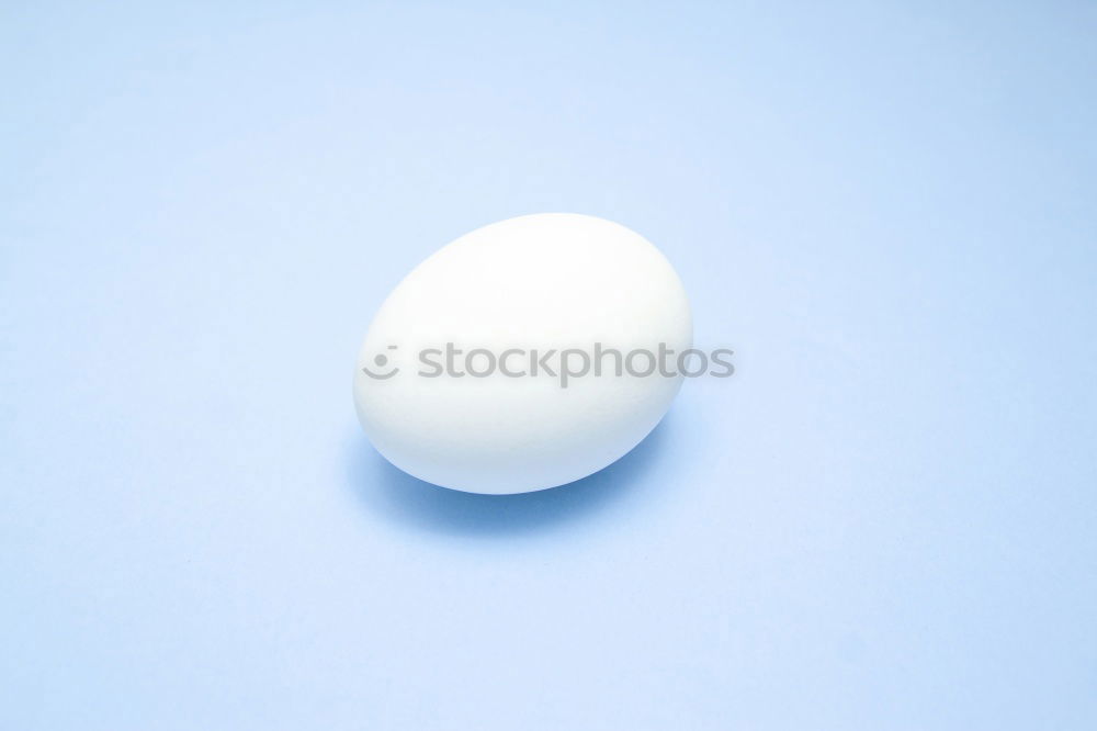 Similar – Image, Stock Photo egg White Lime Hen’s egg