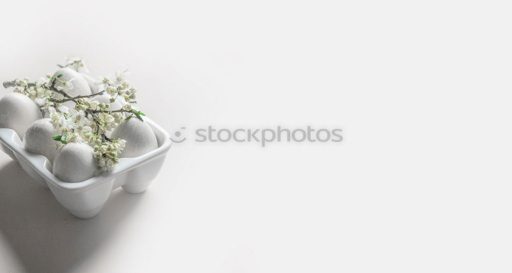 Similar – Image, Stock Photo Tropical leaves with orchids flowers and envelope