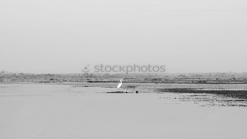 Similar – watt Mud flats Low tide