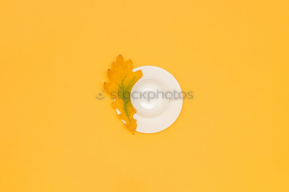 Similar – Image, Stock Photo #S# Hair Loss Food Joy Egg