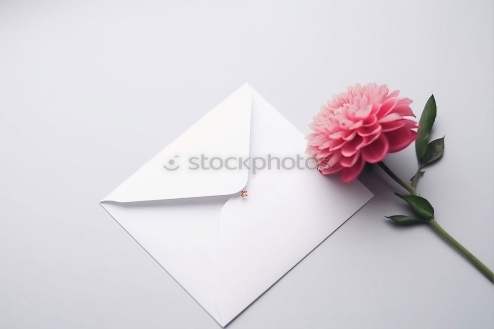 Similar – Image, Stock Photo White envelope with flowers on pink background