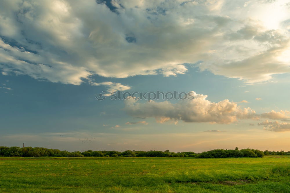 Similar – Image, Stock Photo World of Health on Sunday