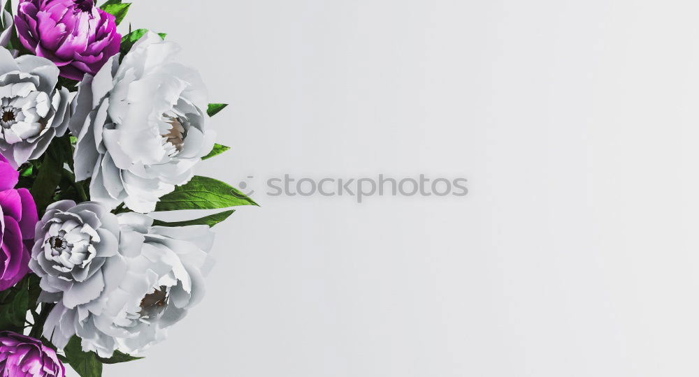 Similar – Image, Stock Photo Tropical leaves with orchids flowers and envelope