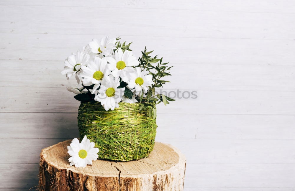 Similar – Image, Stock Photo Easter egg made of concrete decorated with small snowdrops