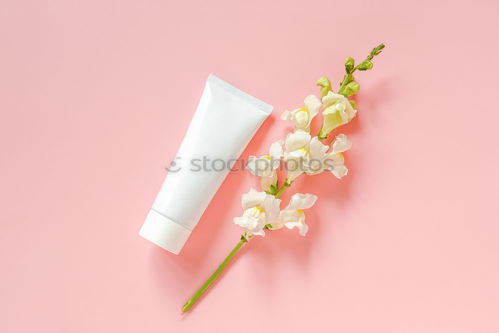 Image, Stock Photo Flat lay of beauty skincare products for mock up