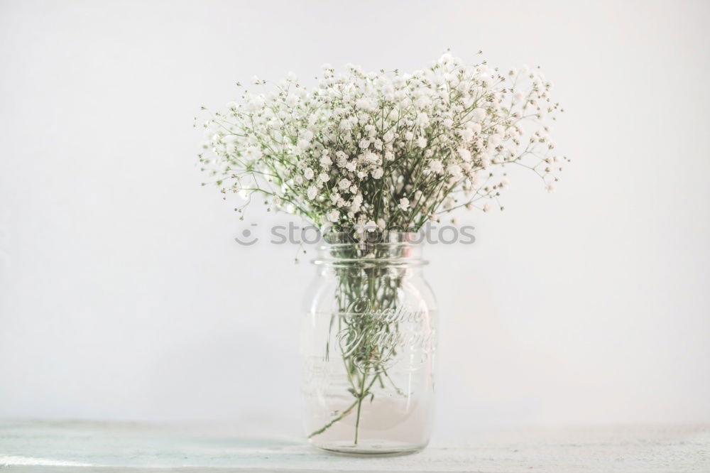 Similar – Image, Stock Photo spring blossom… Plant