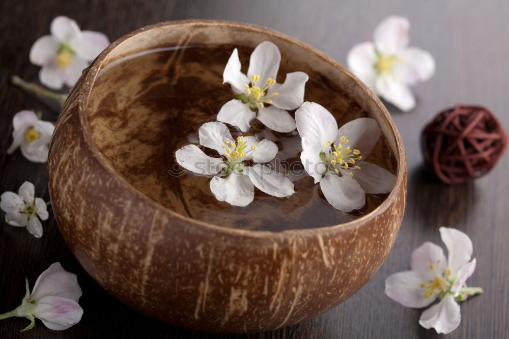 Similar – Blue bowl with pink flowers and water