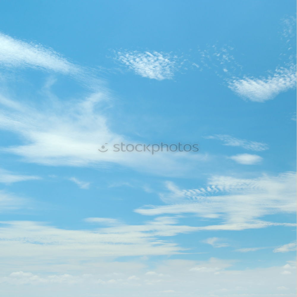 Similar – canopy Clouds Calm