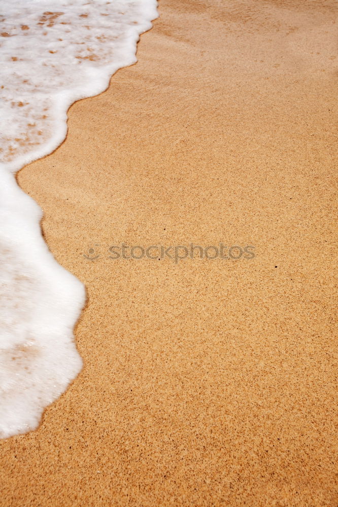 Similar – Image, Stock Photo Mollusks on sand near waving sea