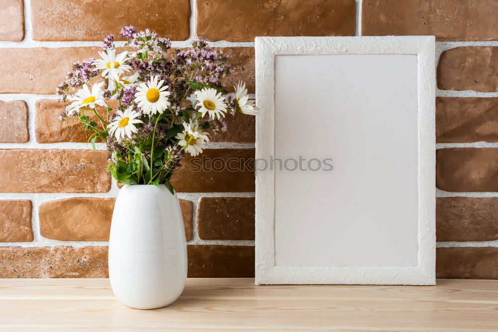 Similar – Image, Stock Photo Lilac from grandpa’s garden