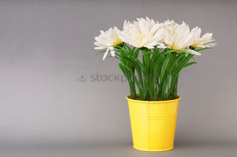 Similar – Image, Stock Photo More than a green thumb