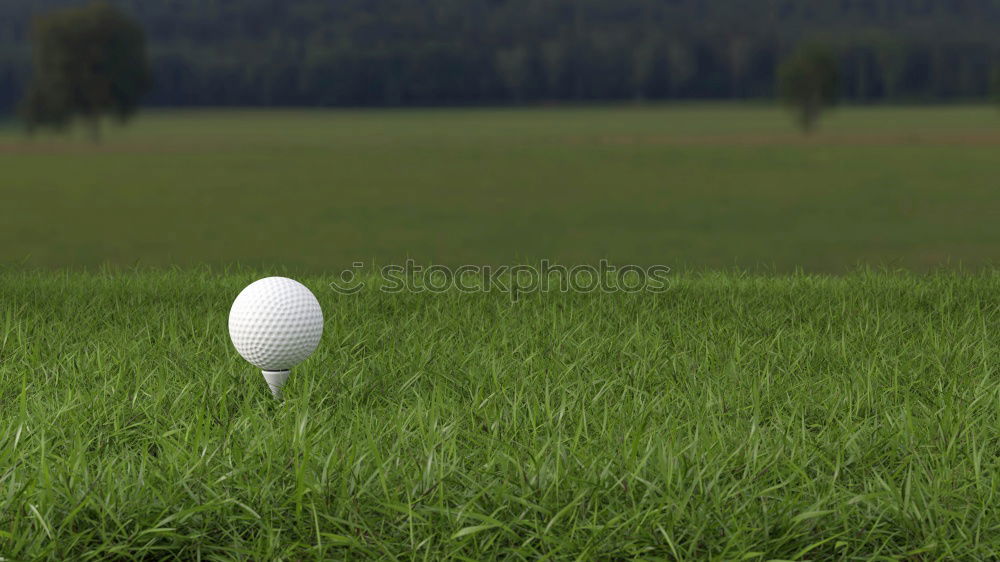 Similar – Image, Stock Photo Earthworm Perspective