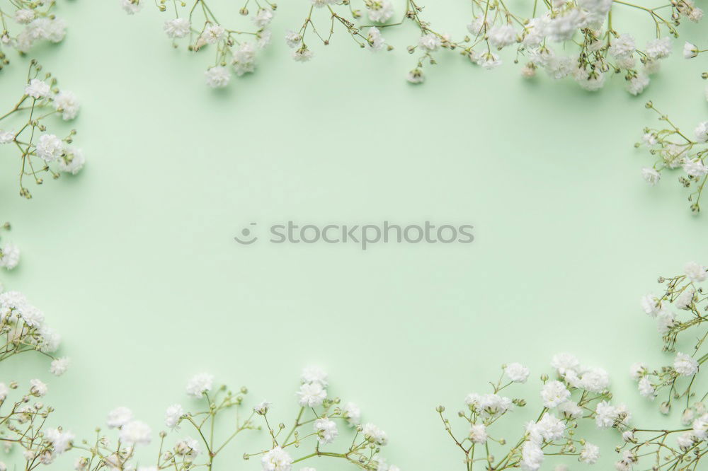 Similar – Image, Stock Photo Delicate spring blossoms on light blue background