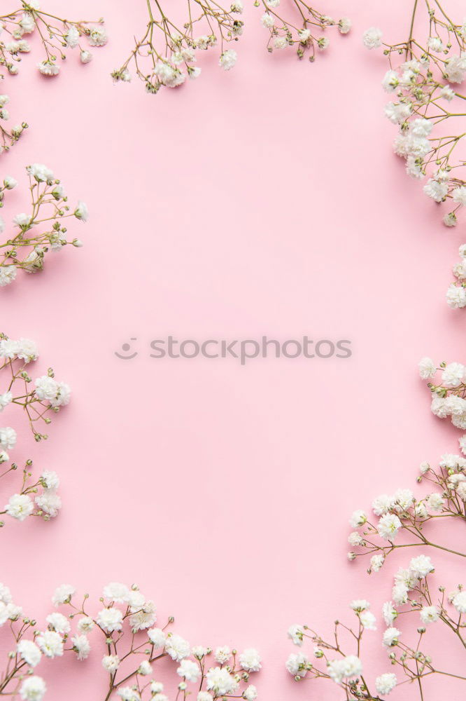 Similar – Image, Stock Photo Open envelope envelope with pastel flowers and petals