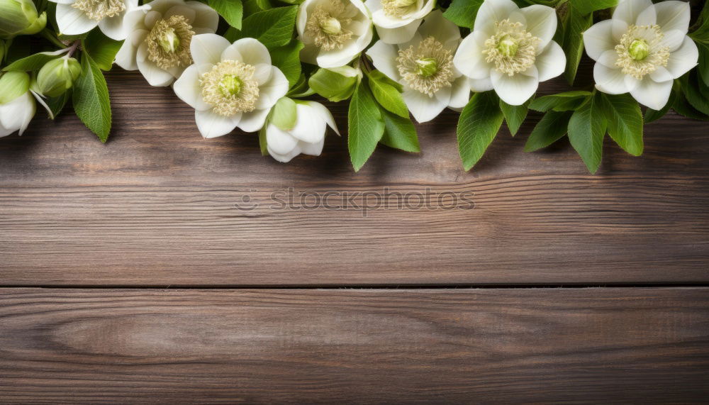 Similar – Image, Stock Photo bouquet of blossoming fruit trees