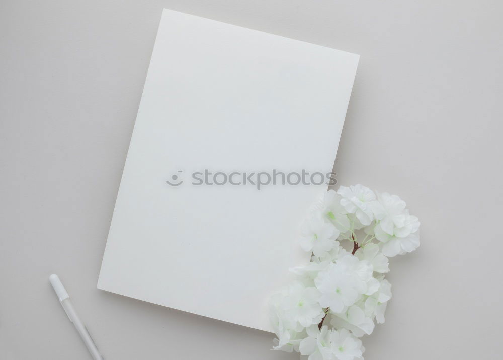 Similar – Image, Stock Photo Empty white greeting card on white flowers