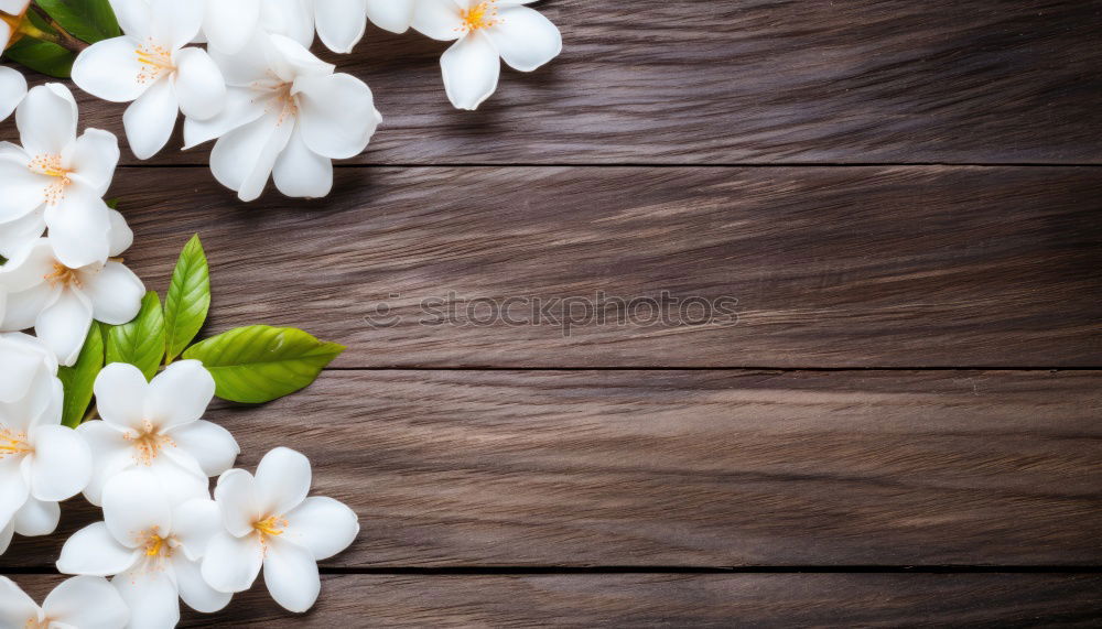 Similar – bouquet of white lilies of the valley