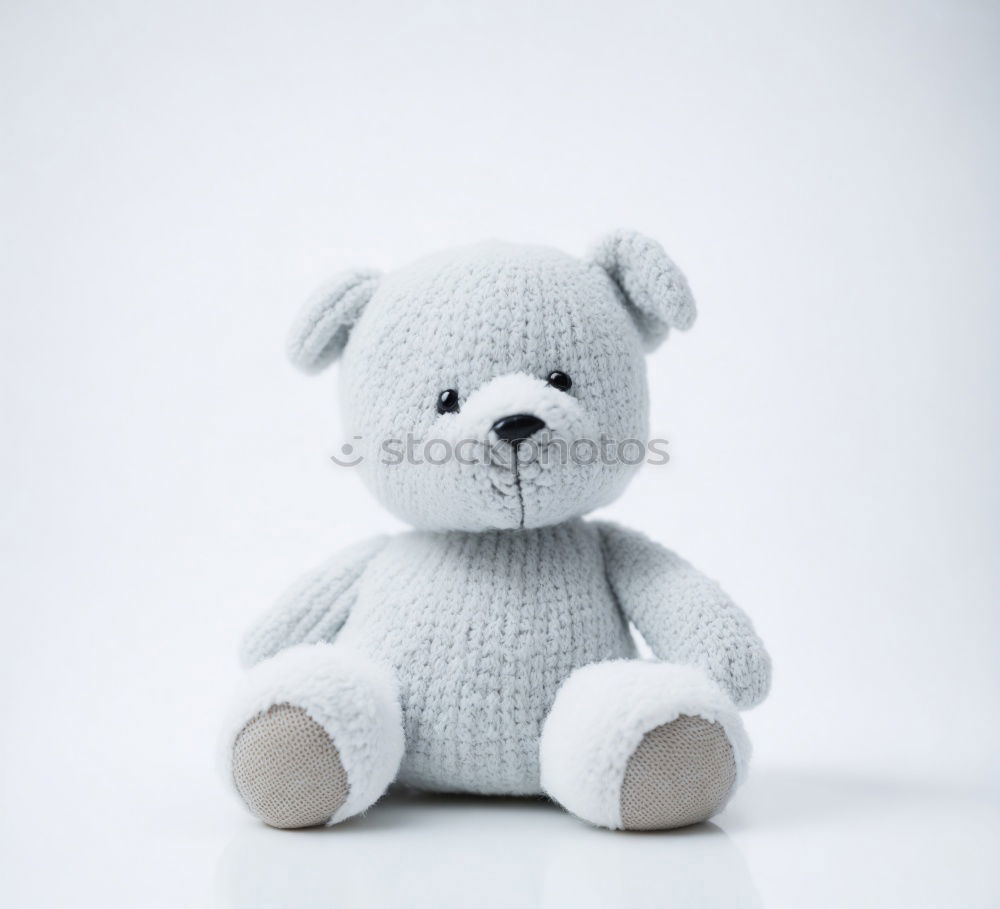 Similar – Image, Stock Photo Teddy Per in Iceland (2)