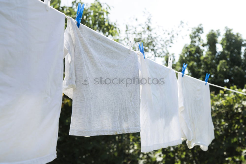 Similar – Image, Stock Photo Laundry on the line