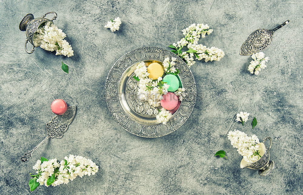 Similar – Seafood on a blue background with algae