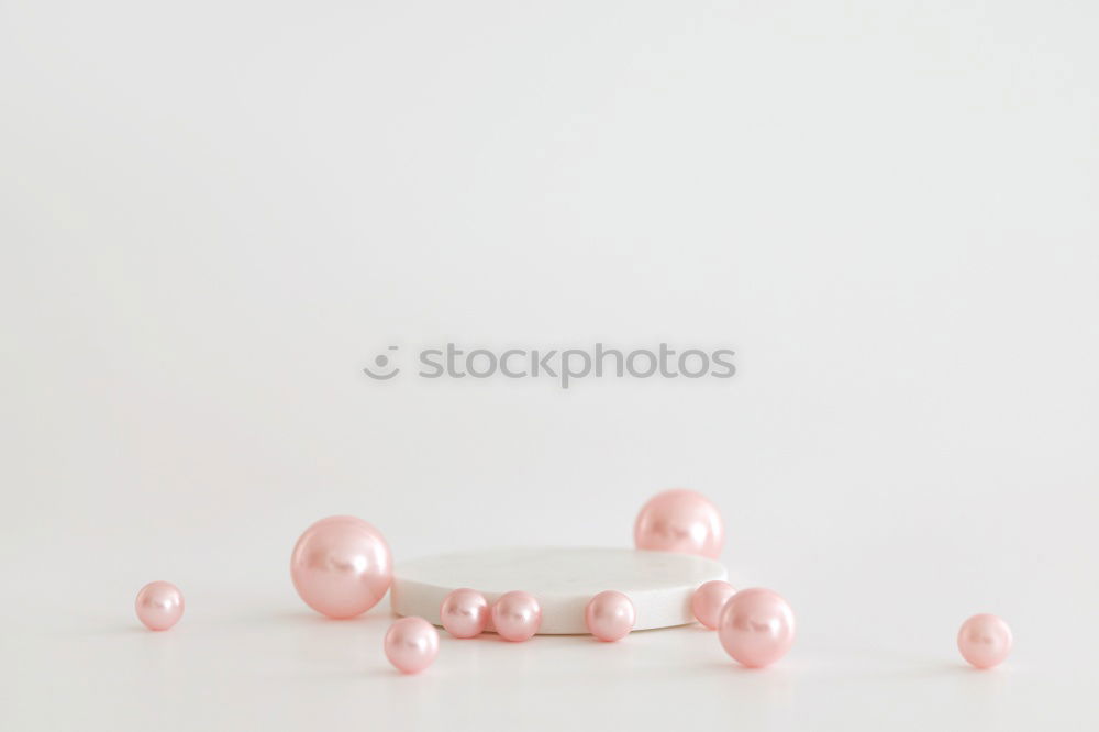 Similar – Image, Stock Photo picked bellis lies on bright neutral background