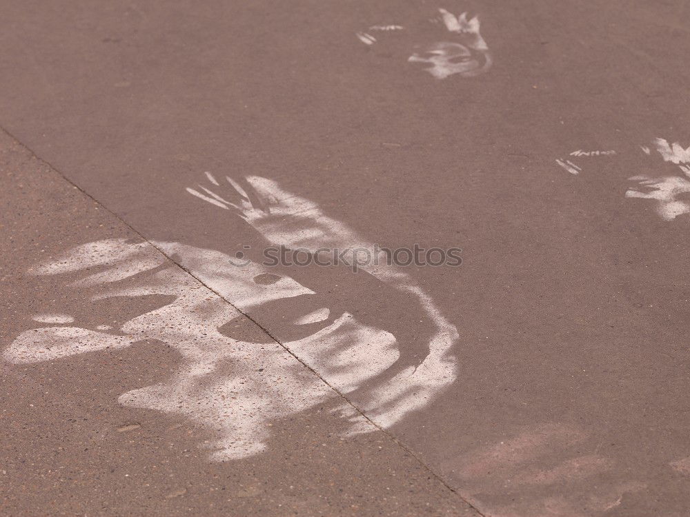 Similar – Crime scene road III | outline of a person lying on the road marked with white spray paint on black asphalt