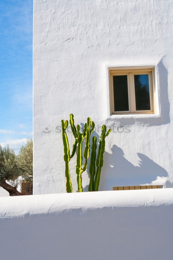 Similar – Image, Stock Photo Above the roofs I