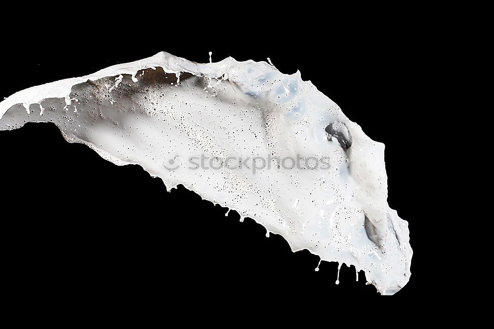 Similar – Image, Stock Photo net Net White Delicate