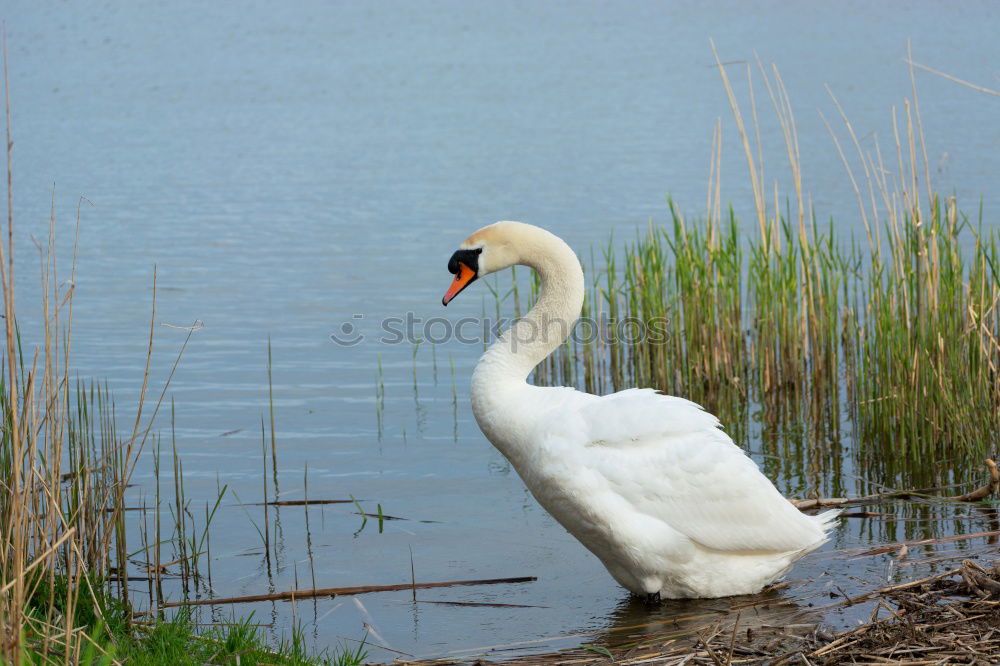 Similar – Schönheit Umwelt Natur