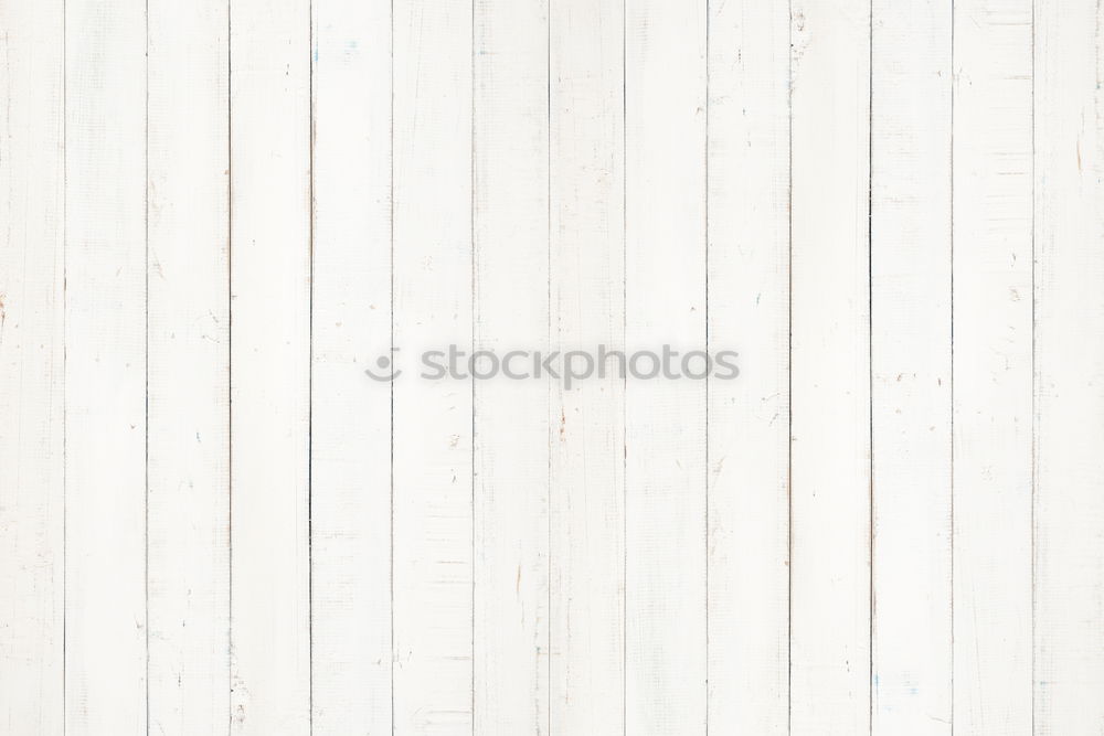 Similar – Image, Stock Photo primer Decoration