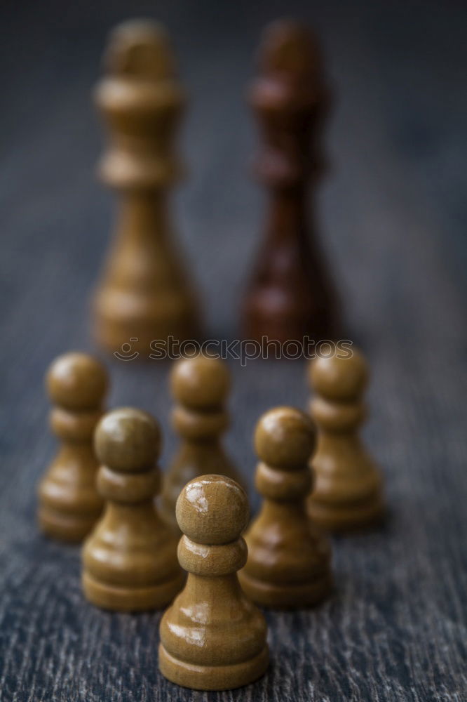 Similar – Set of chess figures on shelf