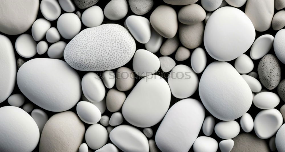 Image, Stock Photo stony beach Beach