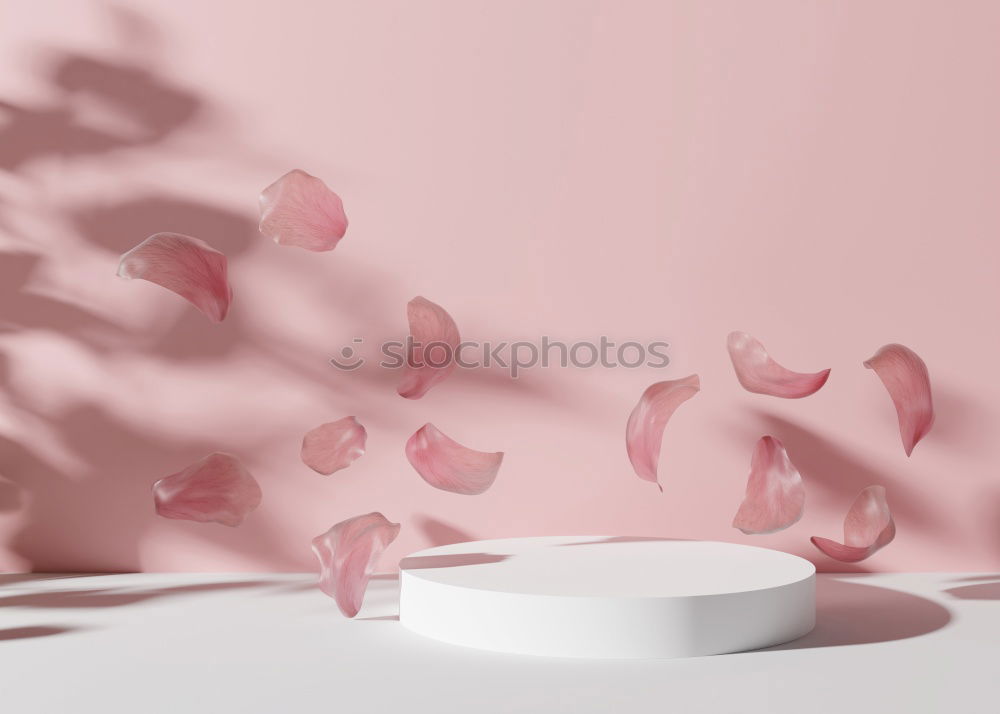 Similar – pink gift ribbon Paper