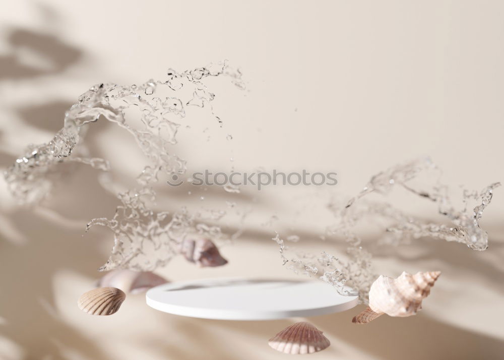 Similar – Image, Stock Photo Feet of a woman on a sandy beach on the Atlantic Ocean