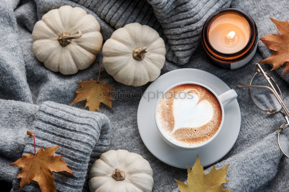 Similar – Image, Stock Photo cozy winter or autumn morning at home