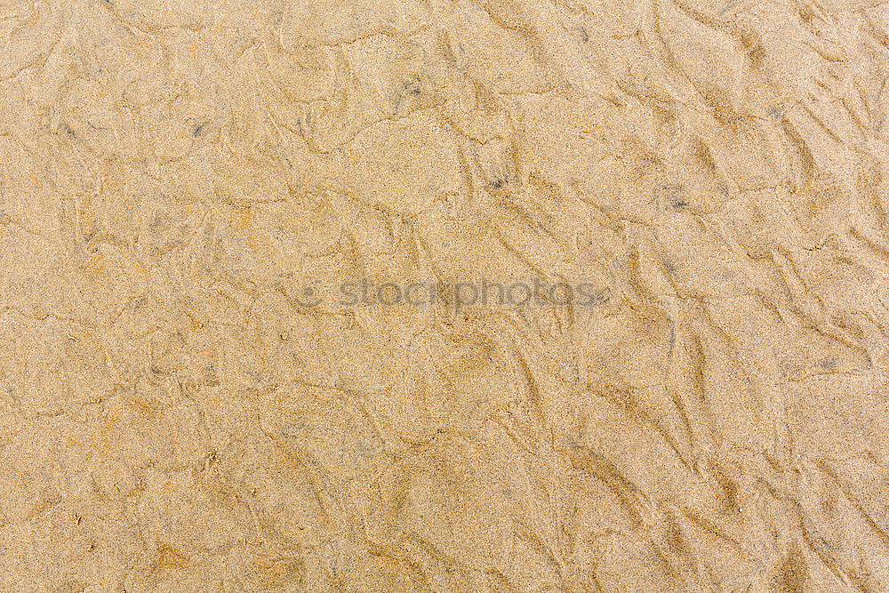 Similar – Sandy beach at low tide in autumn