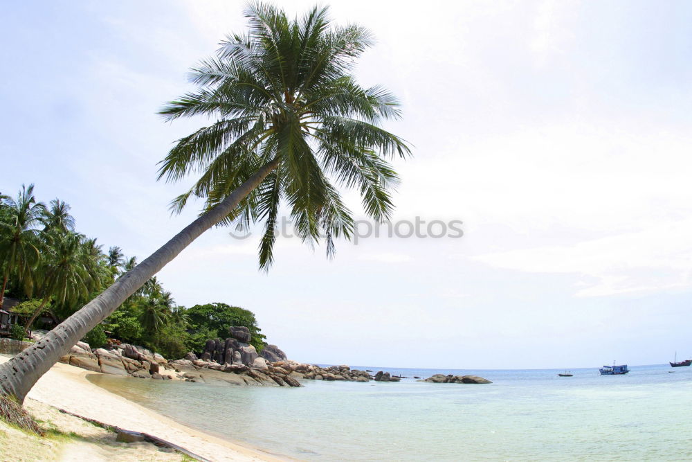 Similar – Foto Bild Seychellen Bucht Strand