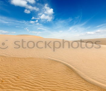 endless beach Umwelt Natur