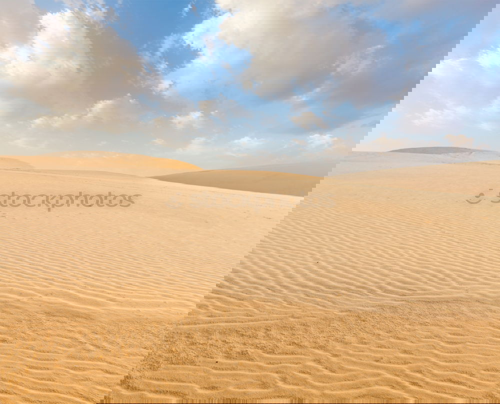 Similar – Image, Stock Photo oman old desert rub al khali