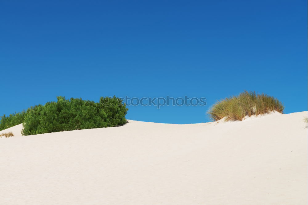 Similar – Image, Stock Photo Meeting point. Environment