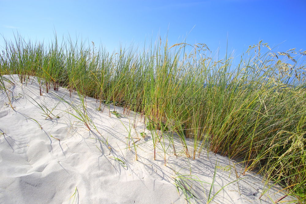 Similar – Playa de Valdoviño (España)