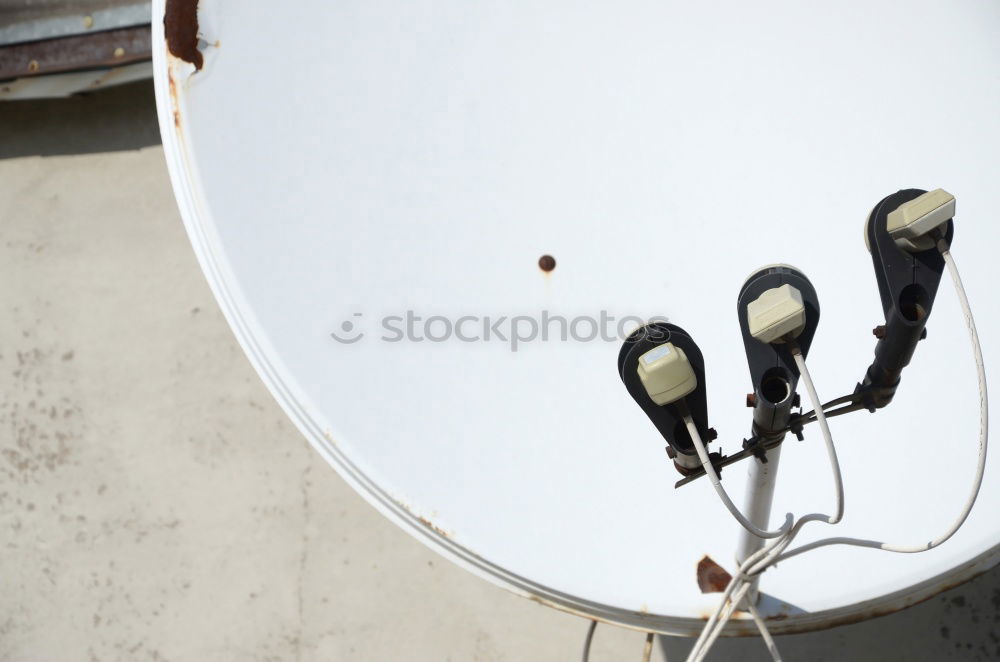 Similar – Image, Stock Photo lookout Crow Raven birds