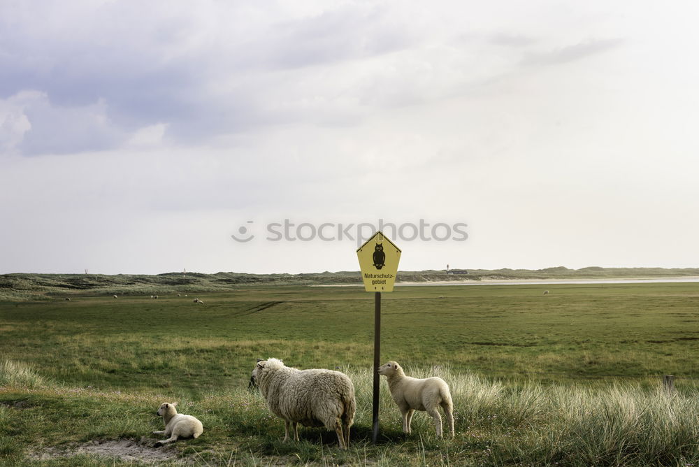 Similar – Image, Stock Photo Flatlandservicestation Sky