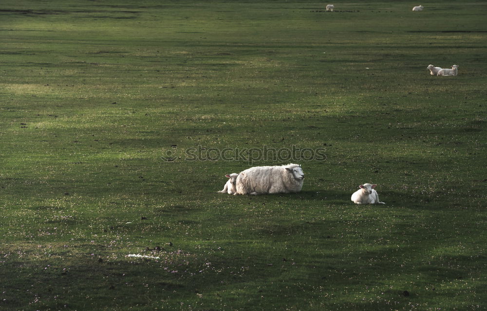 Similar – Image, Stock Photo Wind Mill Well-being Calm