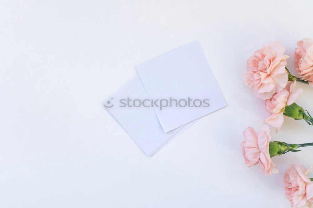 Similar – Aesthetic lifestyle. Notebook, white box with pink ribbon. Beige fabric background with cotton branches.  Top view.